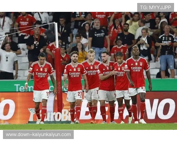 汉堡保级战意化解实力差距，主场韧性成抢分关键武器